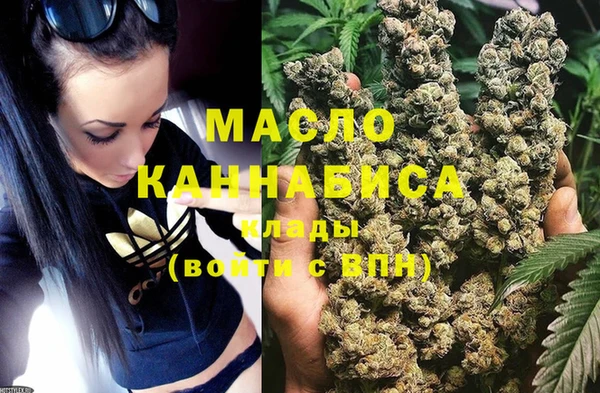 стаф Дмитриев