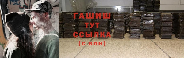 стаф Дмитриев