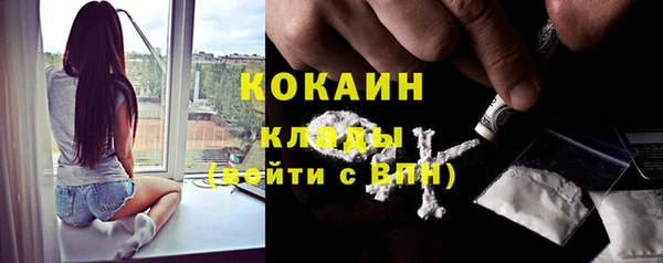стаф Дмитриев