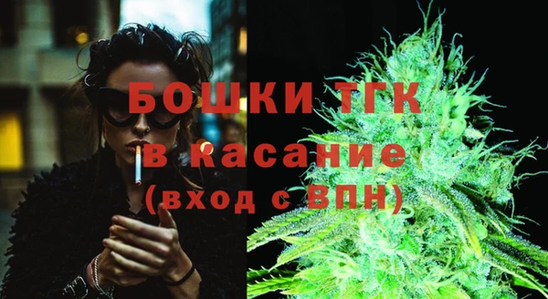 стаф Дмитриев