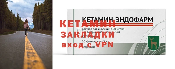 стаф Дмитриев