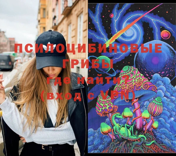 стаф Дмитриев