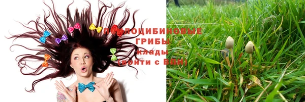 apvp Дмитровск